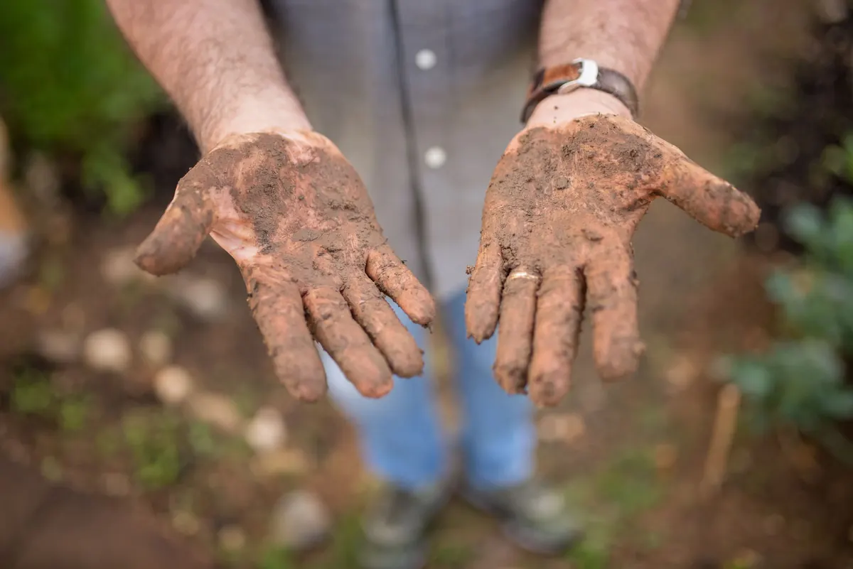 Paumes de mains couvertes de terre, tendues vers l'objectif
